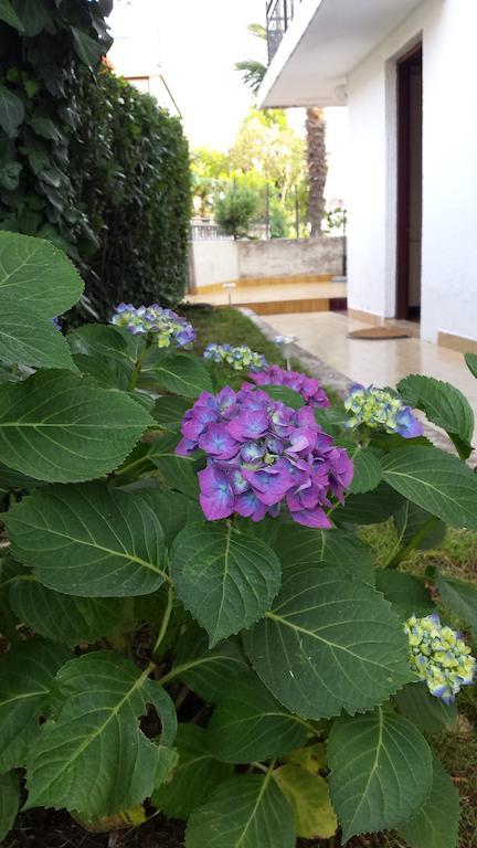 Apartments Boglic Umag Room photo
